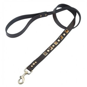 Rock & Roll Tiger Eye Dog Leash_big7